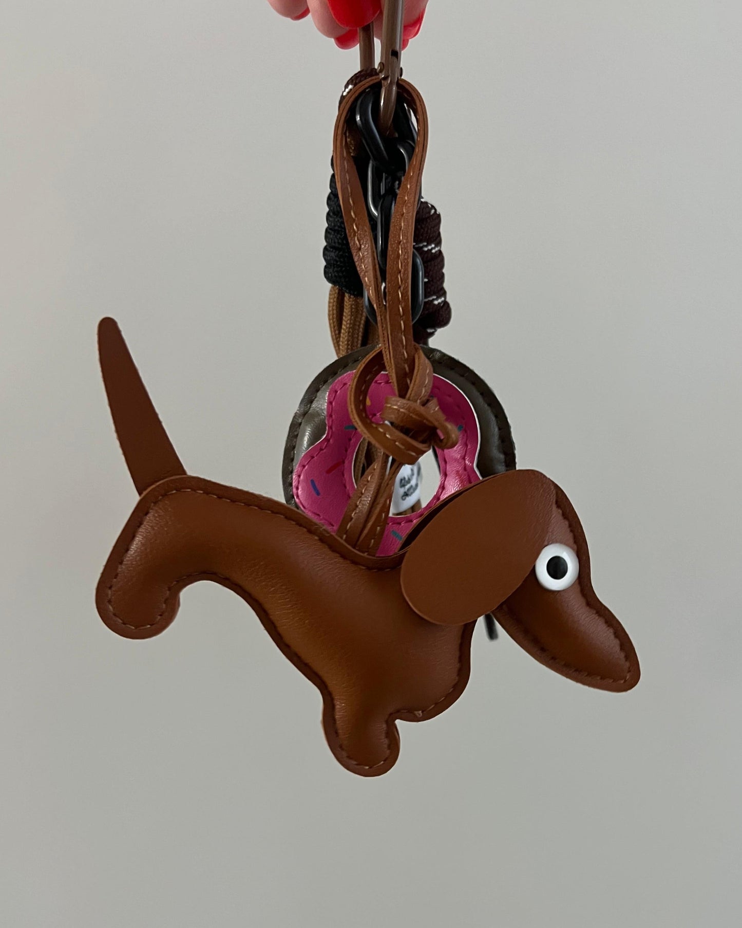 Adorno Teckel camel